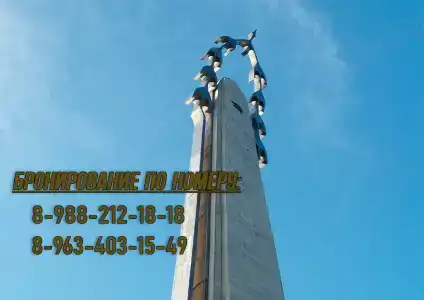 Белые журавли - 84