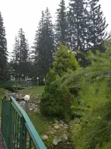 Sanatorium Sosnovyy bor - 96
