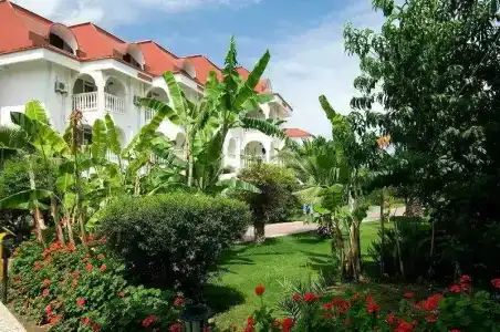 Sailor's Beach Club - 5