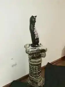 Gostinica Arina - 12