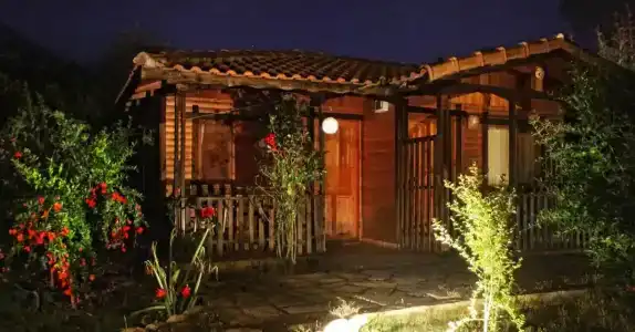 Koala Bungalows - 24