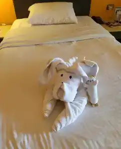 Arabia Azur Resort - All Inclusive - 39