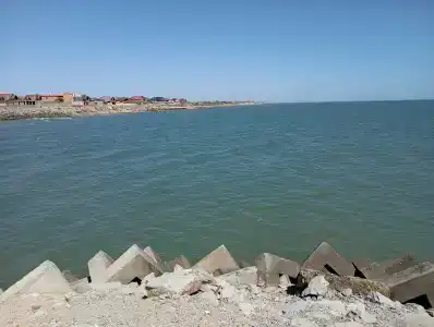 Атлант Экзотик - 59