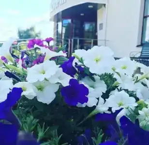 Country Club Olkhovka - 17