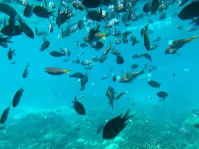 Blend Club Aqua Resort - 29