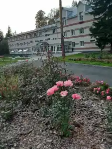 Sanatorium Sosnovyy bor - 86