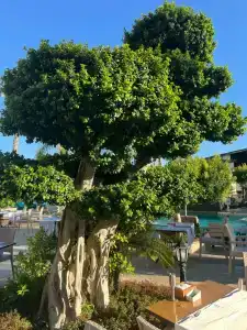 Crystal Family Resort & Spa - Ultimate All Inclusive - 33