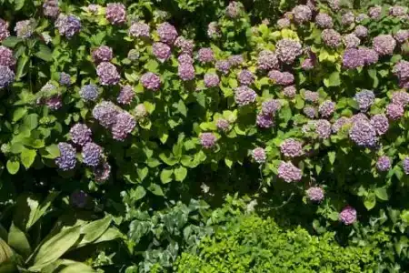 Della Piccola Marina - 9