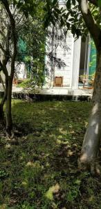 Green Village - 46