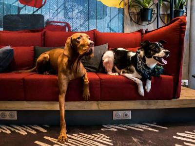 ibis Vilnius Centre - 33