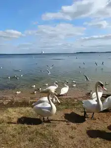 Narochanka Sanatorium - 4