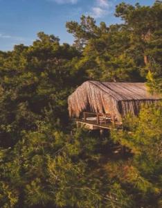 Perdue Adults Only - 25