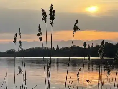 Staroladozhskaya Dacha - 99