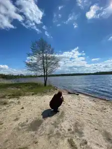 Камыши база отдыха - 25