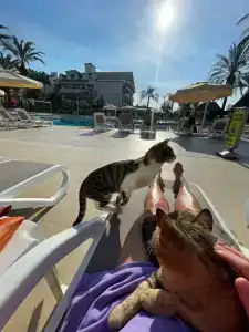 Dobedan Exclusive & Spa ''Ex Brand Alva Donna Exclusive & Spa'' - 35