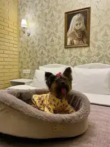 Гранд Катарина Палас - 35