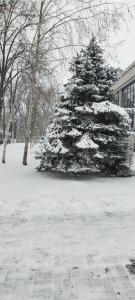 Residence Park - 50
