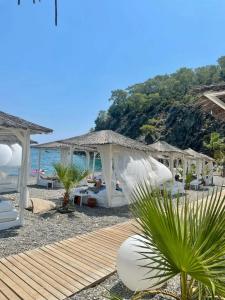 Robinson Camyuva - Adults Only - 44