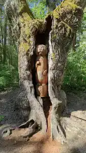 Complex Kamenyuky - 29