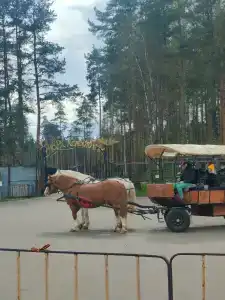 Gostinechniy Kompleks Lyubim - 36