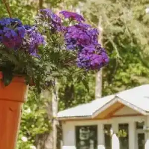 Chernichnyi Bereg - 7