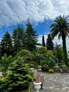 Amra Park-& Spa - 5