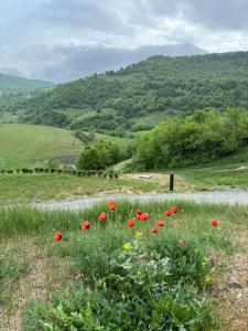 Concept by Coaf - 32