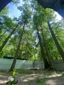 Baza Otdykha Monte-Karlo - 24