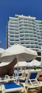 Diamond Hill Resort - 41