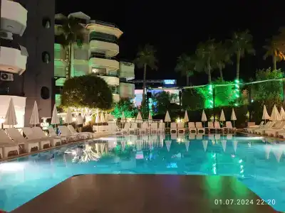 Kaila Krizantem - 98