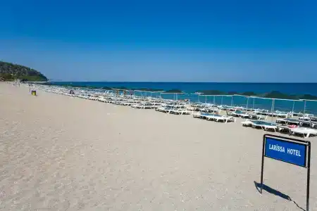 Rose Garden Premium - 5