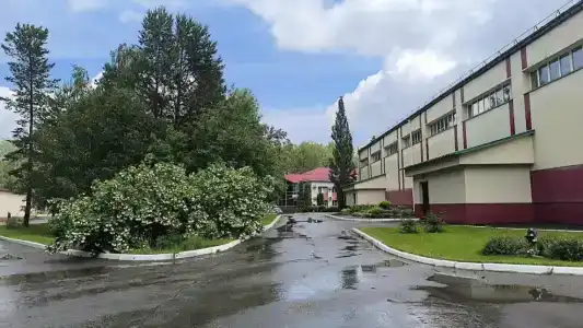 Berezovaya roshcha - 88
