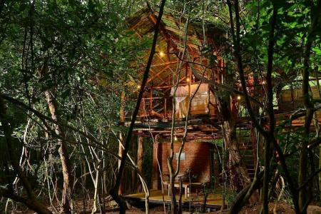 Back of Beyond - Pidurangala - 8