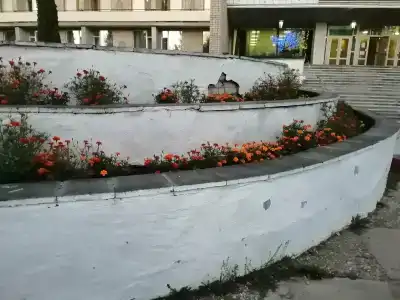 Mitino Health Resort - 39