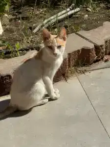 Sun & Sea and Aqua Park - - 40