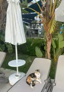 Grand Kaptan - Ultra All Inclusive - 48