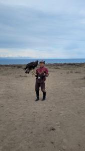 Feel Nomad Yurt Camp - 31