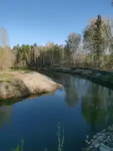 Berezovaya roshcha - 64