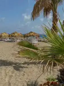 Çenger Beach Resort Spa - All Inclusive - 20