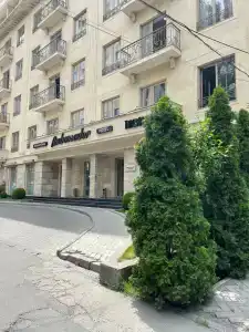 Ambassador - 17