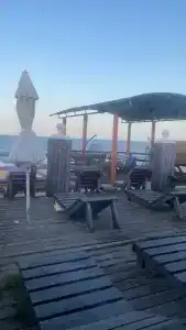 Атлант Экзотик - 82