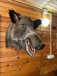 Klub Tikhaya Zavod Tourist base - 36