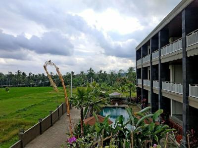 Paon Desa Ubud - 4