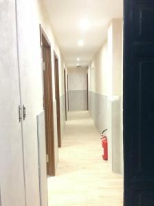 B&B Drago D'Oro - 37