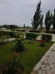 Klyovyy bereg - 1