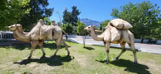 Crystal de Luxe Resort & Spa - All Inclusive - 72