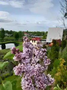 Guest house Goranskaya - 6