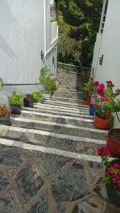 Greenport Bodrum - 41