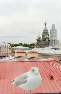 Три МостА - 25