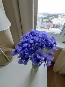 Беларусь - 82